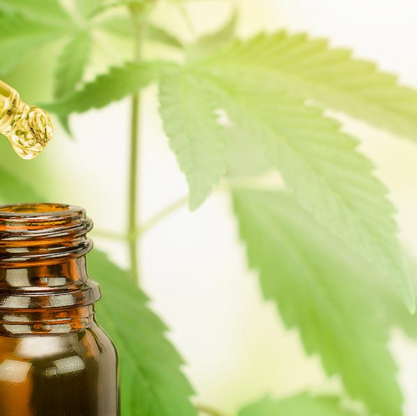 Jak prawidłowo przechowywać olejki konopne CBD?