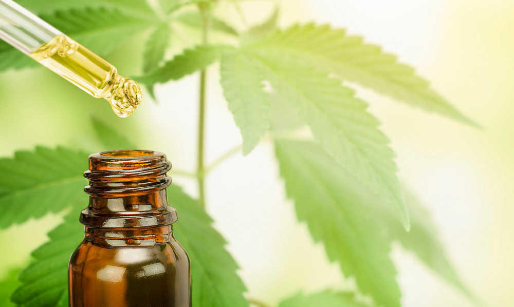 Jak prawidłowo przechowywać olejki konopne CBD?